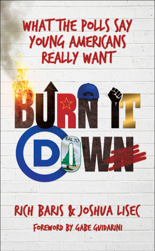 Burn It Down (What the Polls Say Young Americans Really Want) by Rich Baris, Joshua Lisec, Gabe Guidarini, 9798895658161