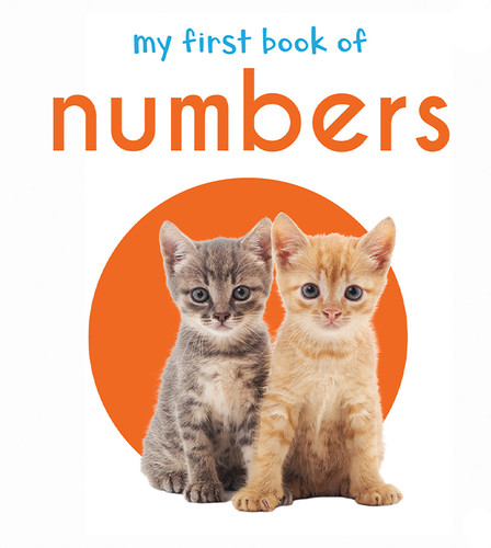 My First Book of Numbers: First Board Book (Miniature Edition) by Wonder House Books, 9789386538420