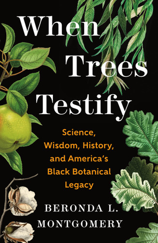 When Trees Testify (Science, Wisdom, History, and America's Black Botanical Legacy) by Beronda L. Montgomery, 9781250335173