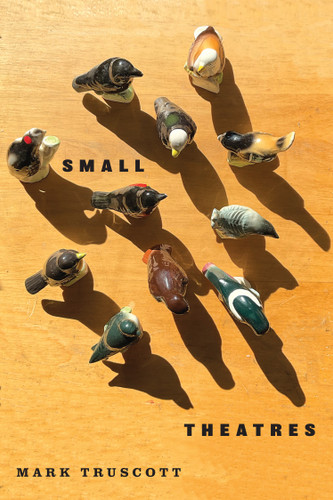 Small Theatres by Mark Truscott, 9780228027928