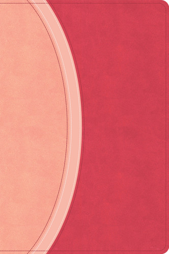 CSB Rainbow Study Bible, Pink LeatherTouch, Indexed by CSB Bibles by Holman, 9798384557791