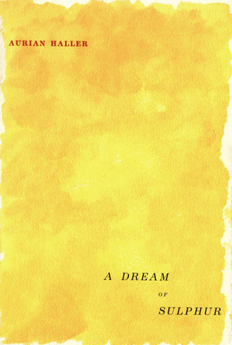 A Dream of Sulphur by Aurian Haller, 9780773519084