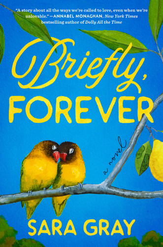 Briefly, Forever by Sara Gray, 9798217181728