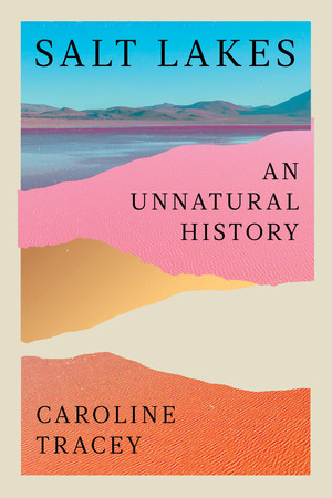 Salt Lakes (An Unnatural History) by Caroline Tracey, 9781324157113