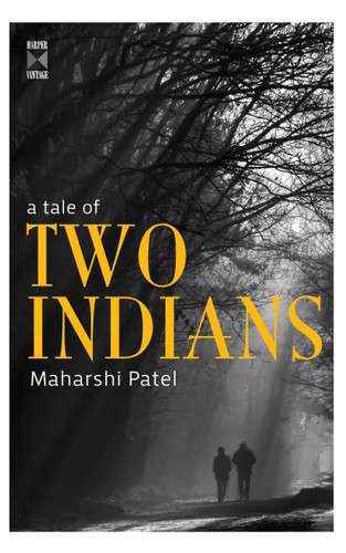 A Tale Of Two Indians by Maharshi Patel, 9789350291153