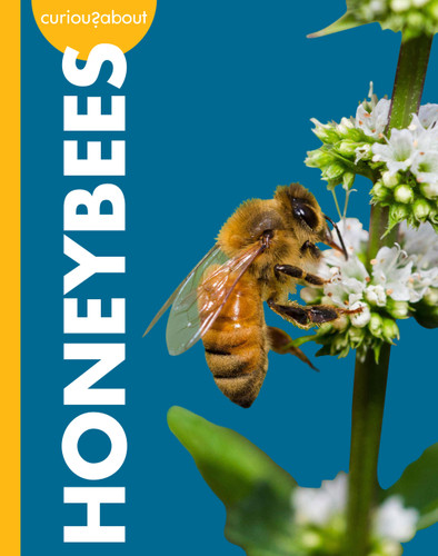 Curious about Honeybees by Deirdre A. Prischmann, 9798896857112