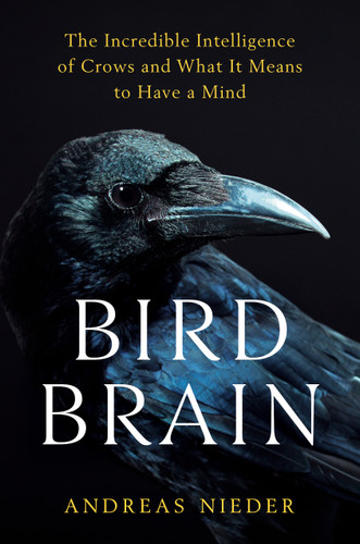 Bird Brain (The Incredible Intelligence of Crows and What It Means to Have a Mind) by Andreas Nieder, 9798217180424
