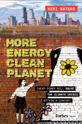 More Energy, Clean Planet (Cheap Power Will Solve the Climate Crisis Within a Century) by Keri Waters, 9798887508535
