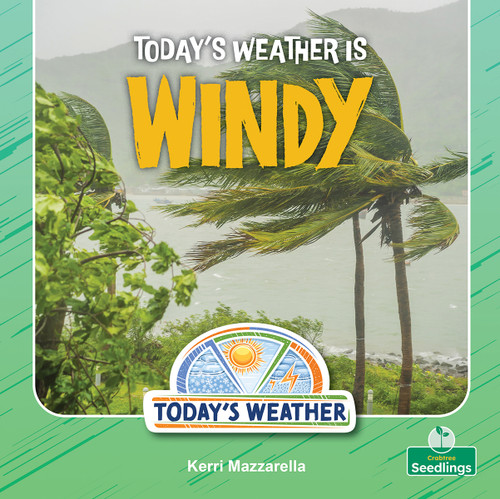 Today's Weather Is Windy by Kerri Mazzarella, 9781039892958