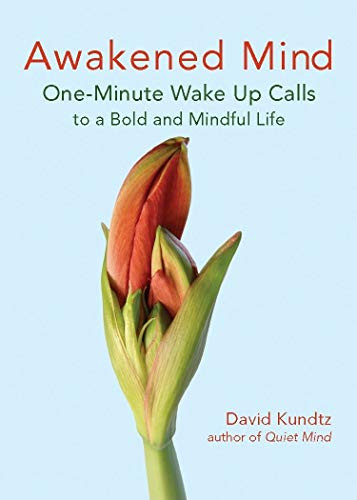 Awakened Mind (One-Minute Wake Up Calls to a Bold and Mindful Life (Mindfulness Book for Fans of The Daily Meditation Book of Healing)) by David Kundtz, 9781573243605