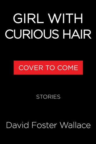 Girl With Curious Hair (Stories) by David Foster Wallace, 9780316616492