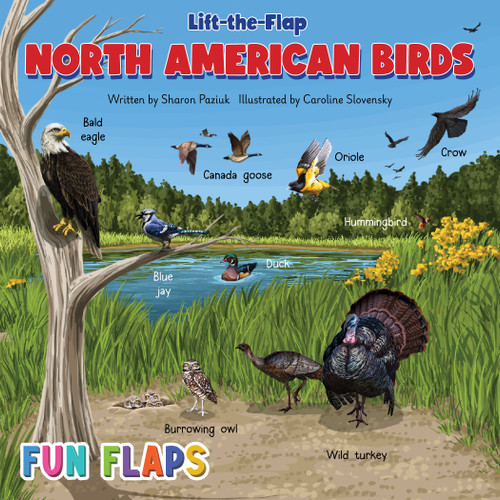 Birds Fun Flaps (North America) by Sharon Paziuk, Caroline Slovensky, 9781834041049