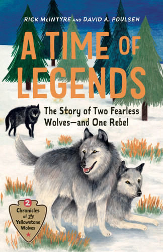 A Time of Legends (The Story of Two Fearless Wolves-and One Rebel) by Rick McIntyre, David A. Poulsen, 9781778404924