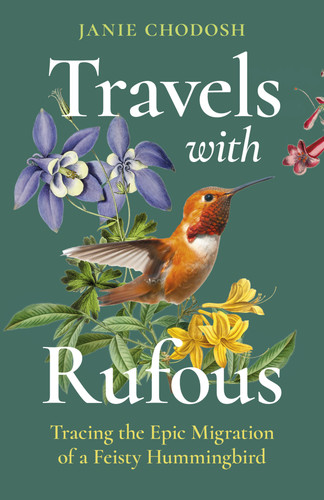 Travels With Rufous (Tracing the Epic Migration of a Feisty Hummingbird) by Janie Chodosh, 9781771646192