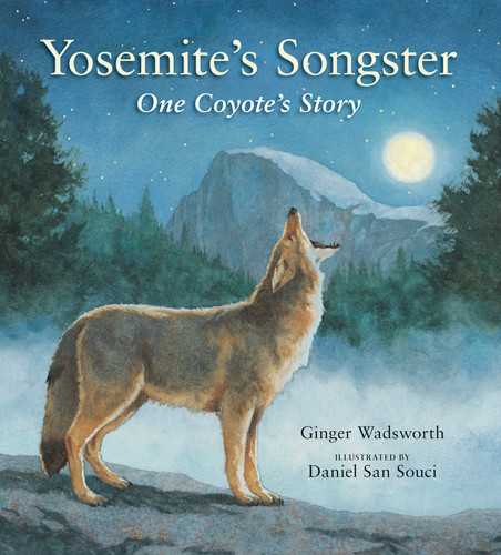 Yosemite's Songster (One Coyote's Story) by Ginger Wadsworth, Daniel San Souci, 9781951179526