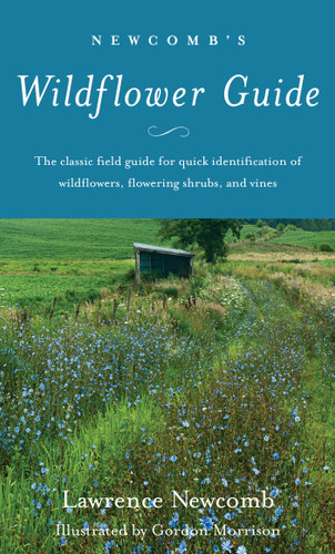 Newcomb's Wildflower Guide by Lawrence Newcomb, 9780316604420