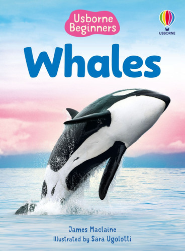 Whales (Usborne Beginners) by James Maclaine, Sara Ugolotti, 9781836052142
