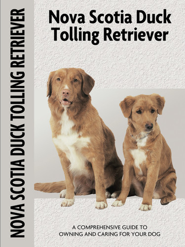 Nova Scotia Duck Tolling Retriever (Comprehensive Owner's Guide) by Nona Kilgore Bauer, 9781621871651