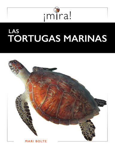 Las tortugas marinas (Spanish Edition) by Mari Bolte, 9798896804390