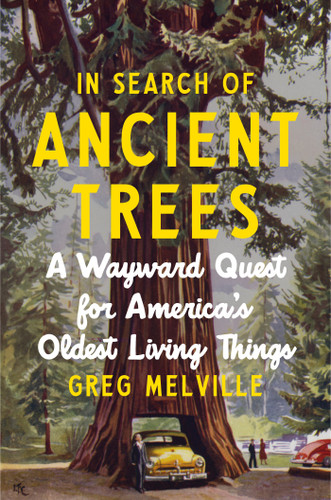 In Search of Ancient Trees (A Wayward Quest for America's Oldest Living Things) by Greg Melville, 9781419783883
