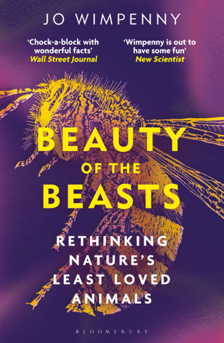 Beauty of the Beasts (Rethinking Nature's Least Loved Animals) by Jo Wimpenny, 9781399417594