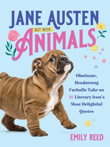 Jane Austen, but with Animals (Obstinate, Headstrong Furballs) (Miniature Edition) by Emily Reed, 9781250443908