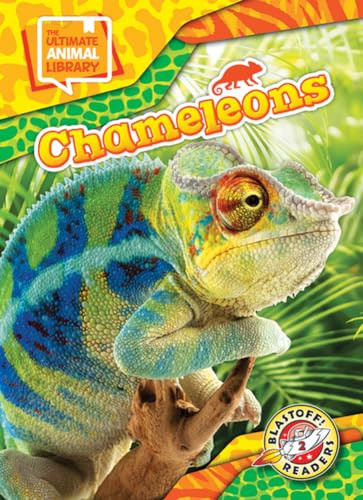 Chameleons by Janie Scheffer, 9798893047912