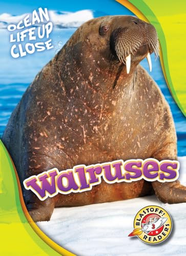 Walruses by Kari Schuetz, 9781648346910
