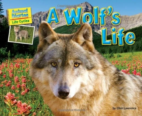 A Wolf's Life by Ellen Lawrence, 9781617725975