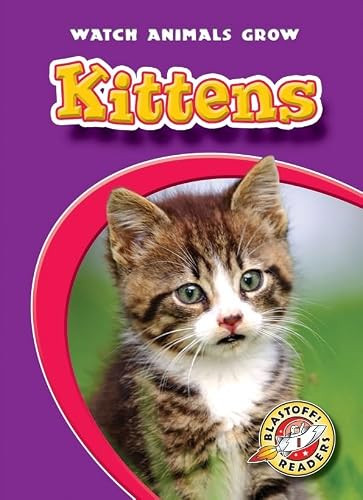 Kittens by Colleen Sexton, Dana Fleming, 9781600143892