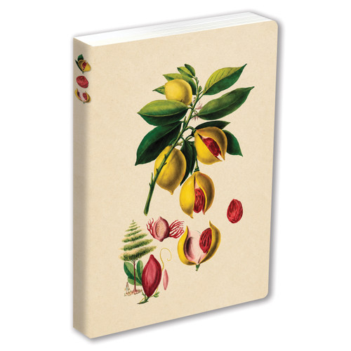 Journal Nutmeg, Lined Paperback by Tuttle Studio, 9780804860949