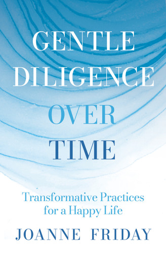 Gentle Diligence Over Time (Transformative Practices for a Happy Life) by Joanne Friday, Mary Beth Meehan, 9781967175246