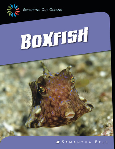 Boxfish - 9781631880605 by Samantha Bell, 9781631880605