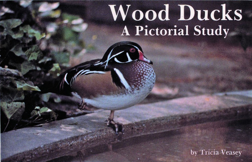 Wood Ducks (A Pictorial Study) by Tricia Veasey, 9780887401558