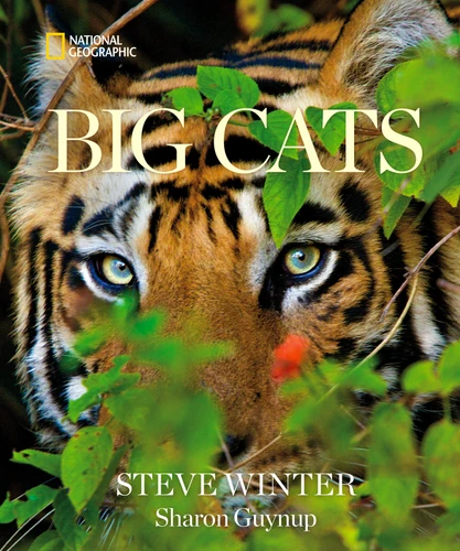 Big Cats by Steve Winter, Sharon Guynup, 9781426224171