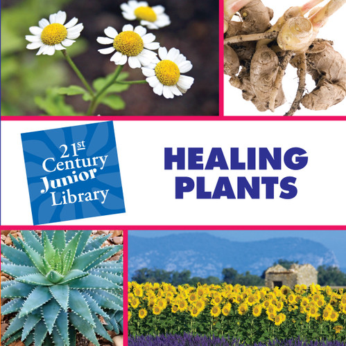 Healing Plants - 9781602792784 by Pam Rosenberg, 9781602792784