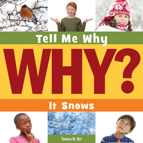 It Snows - 9781633620377 by Tamra B. Orr, Adam Weber, 9781633620377