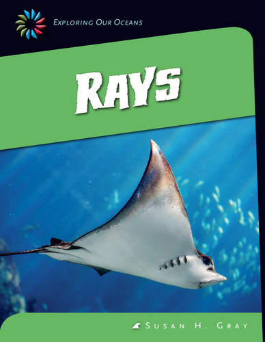 Rays - 9781624316111 by Susan H. Gray, 9781624316111
