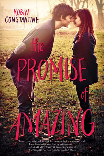The Promise of Amazing - 9780062279491 by Robin Constantine, 9780062279491