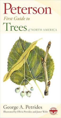 Peterson First Guide To Trees by George A. Petrides, Roger Tory Peterson, 9780395911839