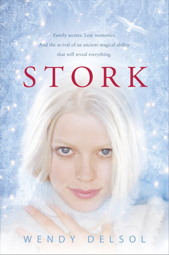 Stork - 9780763656874 by Wendy Delsol, 9780763656874