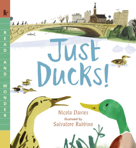 Just Ducks! (Read and Wonder) - 9780763670511 by Nicola Davies, Salvatore Rubbino, 9780763670511