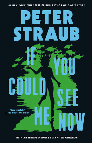 If You Could See Me Now - 9780804172851 by Peter Straub