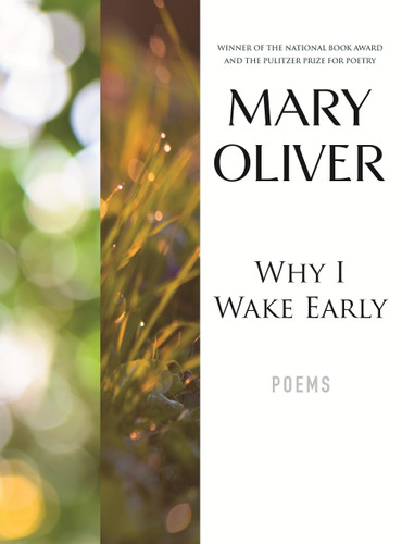 Why I Wake Early (New Poems) - 9780807068793 by Mary Oliver, 9780807068793