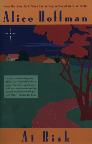 At Risk - 9780425165294 by Alice Hoffman, 9780425165294