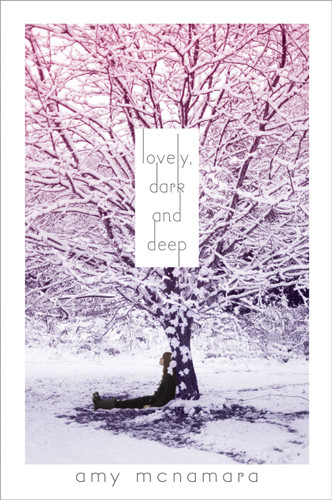 Lovely, Dark and Deep - 9781442434356 by Amy McNamara, 9781442434356