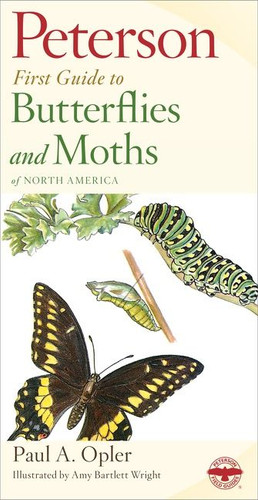 Peterson First Guide To Butterflies And Moths by Paul A. Opler, Amy Bartlett Wright, 9780395906651