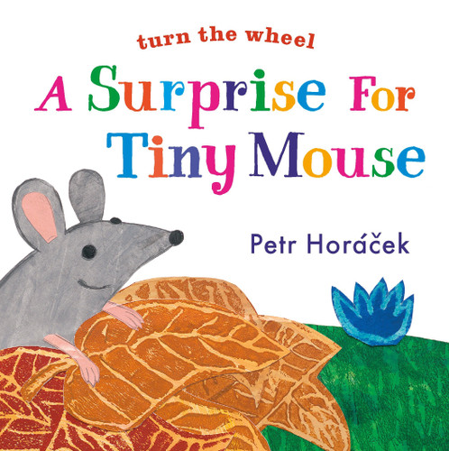 A Surprise for Tiny Mouse by Petr Horacek, Petr Horacek, 9780763679675