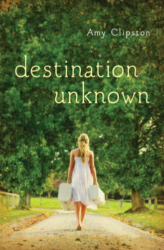 Destination Unknown - 9780310736691 by Amy Clipston, 9780310736691