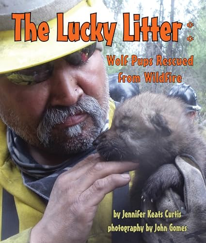 Lucky Litter, The: Wolf Pups Rescued from Wildfire - 9781628557190 by Jennifer Keats Curtis, John Gomes, 9781628557190
